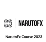 Naruto FX Trading Course