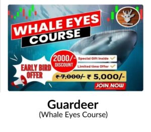 Guardeer - Whale Eyes Course 2024