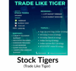 Stock Tigers – Trade Like Tiger course