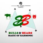 Bulls & Bears Magic of Harmonics Course