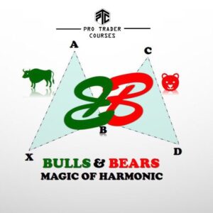 Bulls & Bears Magic of Harmonics Course
