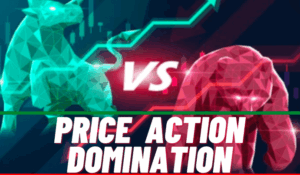 Price Action Domination Course By Sunny Jain