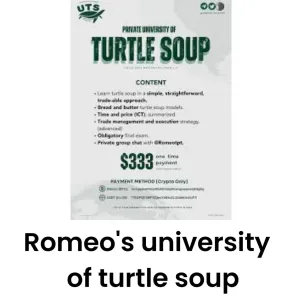 Romeo’s University of Turtle Soup course download